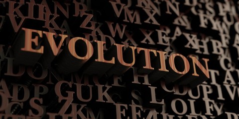 Evolution - Wooden 3D rendered letters/message.  Can be used for an online banner ad or a print postcard.