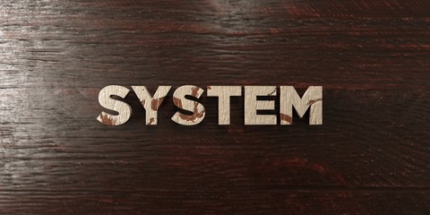System - grungy wooden headline on Maple  - 3D rendered royalty free stock image. This image can be used for an online website banner ad or a print postcard.