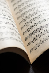 Music notation book. Page with music notes