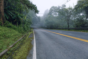 road in the fog