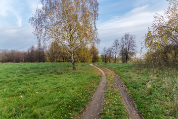 Obraz premium Autumn