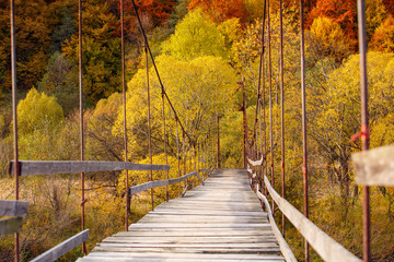 Fototapeta na wymiar Suspension bridge in the forest