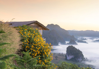 people look at Beautiful sun rise phulangka mountain and the mis © golfnmd50