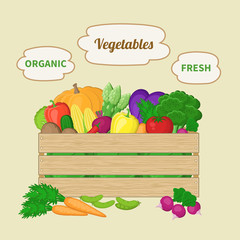 Vegetables mixed in a wooden box. Crate with autumn vegetables. Fresh Organic food from the farm. Vector colorful illustration of the logo autumn harvest