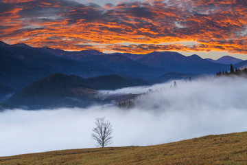 Beautiful mountain landscape and dense white fog