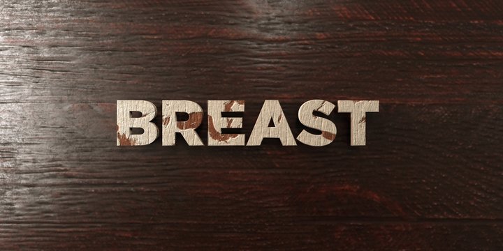 Breast - grungy wooden headline on Maple  - 3D rendered royalty free stock image. This image can be used for an online website banner ad or a print postcard.