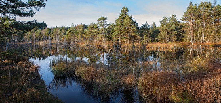 Moorweiher bei Sonnenuntergang