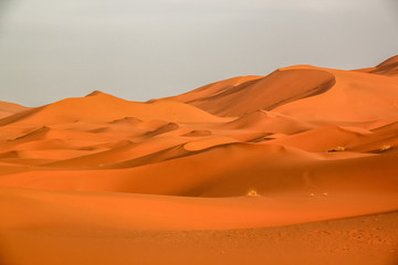 Fototapeta na wymiar Stunning sand dunes of Merzouga