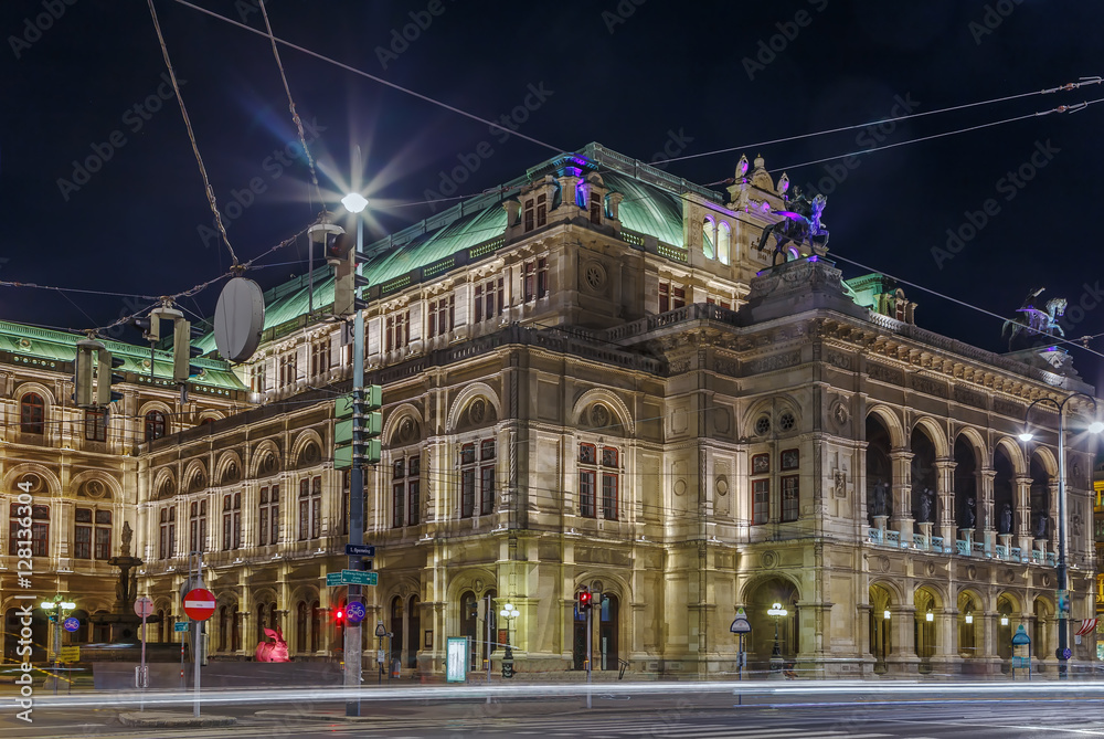 Wall mural Vienna State Opera