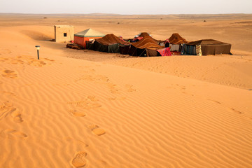 Bedouin desert camp