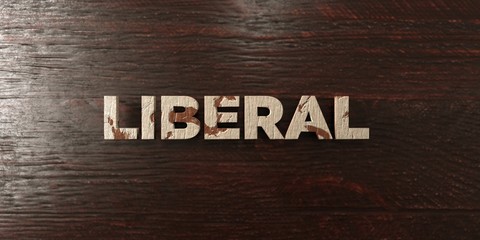 Liberal - grungy wooden headline on Maple  - 3D rendered royalty free stock image. This image can be used for an online website banner ad or a print postcard.