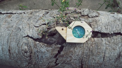 close up snail compass on broken wooden tree. navigation equipment to tell direction for tourist to forest, vintage background