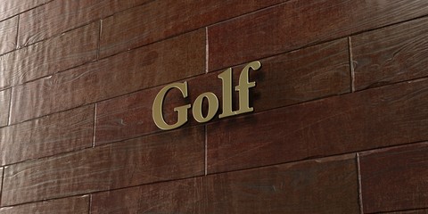 Golf - Bronze plaque mounted on maple wood wall  - 3D rendered royalty free stock picture. This image can be used for an online website banner ad or a print postcard.