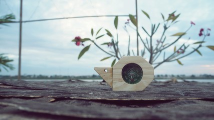 close up snail compass on broken wooden tree. navigation equipment to tell direction for tourist to forest, vintage background
