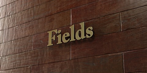 Fields - Bronze plaque mounted on maple wood wall  - 3D rendered royalty free stock picture. This image can be used for an online website banner ad or a print postcard.