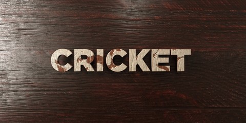Fototapeta premium Cricket - grungy wooden headline on Maple - 3D rendered royalty free stock image. This image can be used for an online website banner ad or a print postcard.