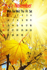 2017 Calendar.November. Image of falling leaves