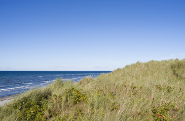 Læsø / Dänemark: Blick von der großen Düne am Danzigmann-Strand über das scheinbar endlose Meer