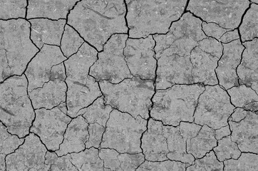 the texture of the soil