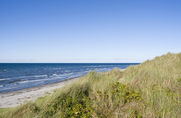 Fototapeta na wymiar Læsø / Dänemark: Blick von der großen Düne am Danzigmann-Strand über das scheinbar endlose Meer