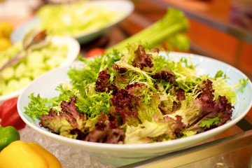 Green Salad in restaurant buffet