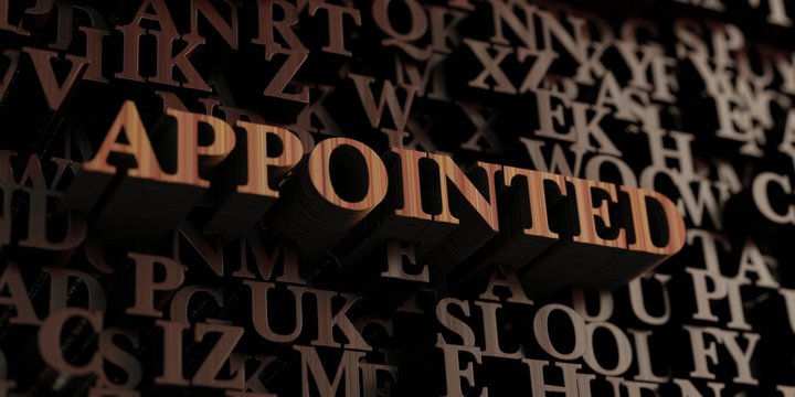 Appointed - Wooden 3D rendered letters/message.  Can be used for an online banner ad or a print postcard.