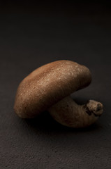 椎茸