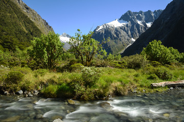 Fototapeta na wymiar Bachlauf in den Alpen von Neuseeland