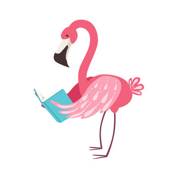 Pink Flamingo Smiling Bookworm Zoo Character Wearing Glasses And Reading A Book Cartoon Illustration Part Of Animals In Library Collection