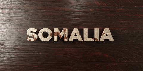 Fototapeta premium Somalia - grungy wooden headline on Maple - 3D rendered royalty free stock image. This image can be used for an online website banner ad or a print postcard.