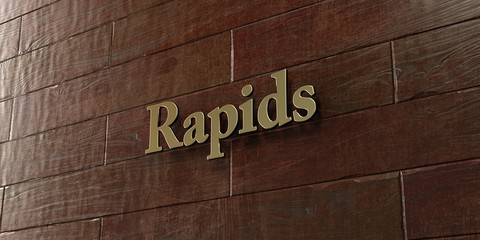 Rapids - Bronze plaque mounted on maple wood wall  - 3D rendered royalty free stock picture. This image can be used for an online website banner ad or a print postcard.