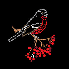 Bullfinch on a mountain ash branch