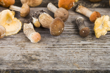 Raw mushrooms on a wooden table. Boletus edulis and chanterelles