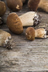 Raw mushrooms on a wooden table. Boletus edulis and chanterelles
