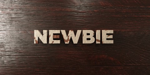 Fototapeta premium Newbie - grungy wooden headline on Maple - 3D rendered royalty free stock image. This image can be used for an online website banner ad or a print postcard.