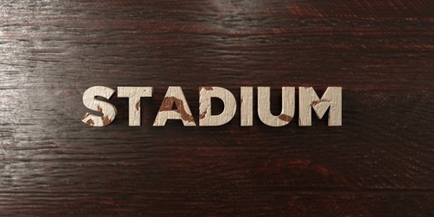 Stadium - grungy wooden headline on Maple  - 3D rendered royalty free stock image. This image can be used for an online website banner ad or a print postcard.