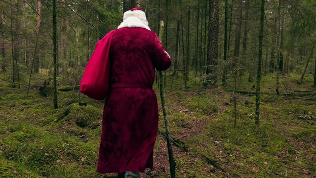 Santa Claus with gift bag walking away in forest