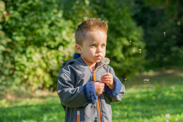 kleiner junge pustet an einer pusteblume