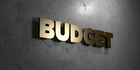 Budget - Gold sign mounted on glossy marble wall  - 3D rendered royalty free stock illustration. This image can be used for an online website banner ad or a print postcard.