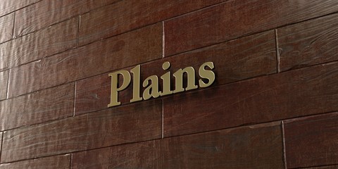 Plains - Bronze plaque mounted on maple wood wall  - 3D rendered royalty free stock picture. This image can be used for an online website banner ad or a print postcard.