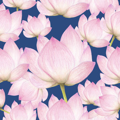 Seamless pattern of lotus flowers