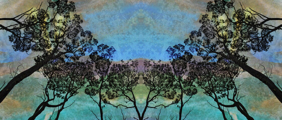 Symmetrical grove of tall gum trees (Eucalyptus) against an aurora like evening sky. Digitally textured composite image.