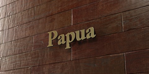 Papua - Bronze plaque mounted on maple wood wall  - 3D rendered royalty free stock picture. This image can be used for an online website banner ad or a print postcard.