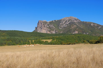 Fototapeta premium Pic de Bugarach im Süden Frankreichs, Corbieres - Pic de Bugarach in southern France