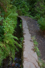 Caldeirao do inferno, MADERE.