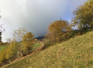 Herbstliche Alpenlandschaft / Alm oberhalb von Vitznau (Rigi)