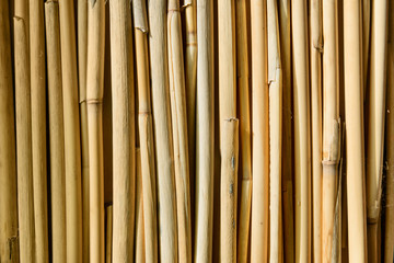Fototapeta premium Stems straw closeup stacked in row.