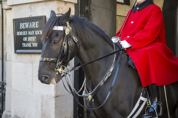 Mounted Queen's Life Guard of the Household Cavalry sits on his horse in an archway facing...