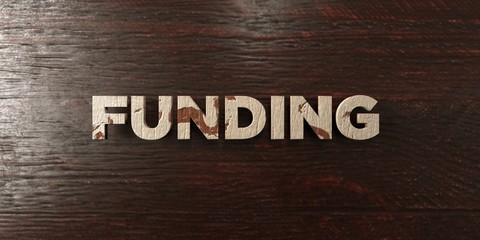 Funding - grungy wooden headline on Maple  - 3D rendered royalty free stock image. This image can be used for an online website banner ad or a print postcard.