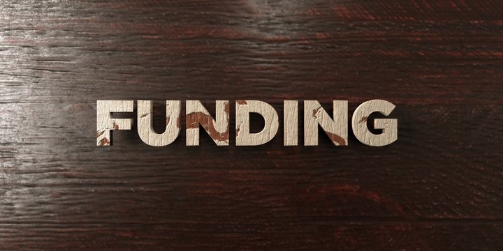 Funding - grungy wooden headline on Maple  - 3D rendered royalty free stock image. This image can be used for an online website banner ad or a print postcard.